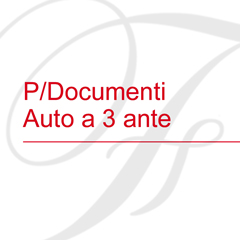 P/Documenti Auto a 3 ante
