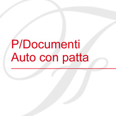 P/Documenti Auto c/patta 