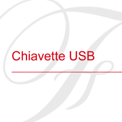 Chiavette USB