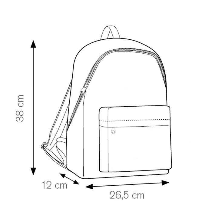 PG310.jpg