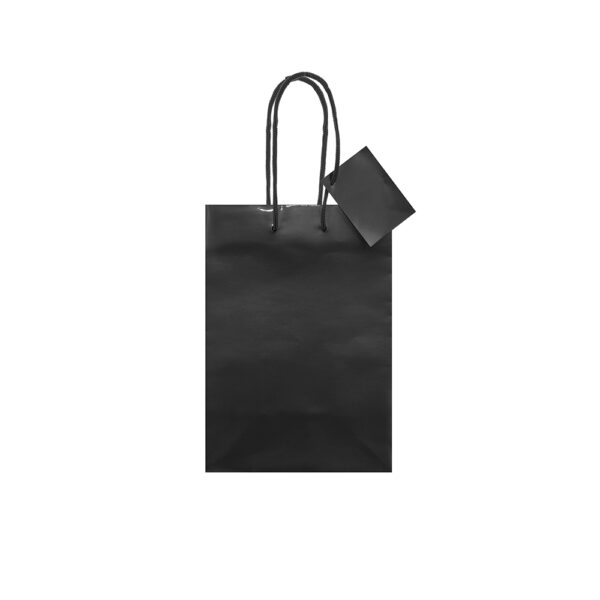 Borsa in carta laminata Blake formato 16x23x10