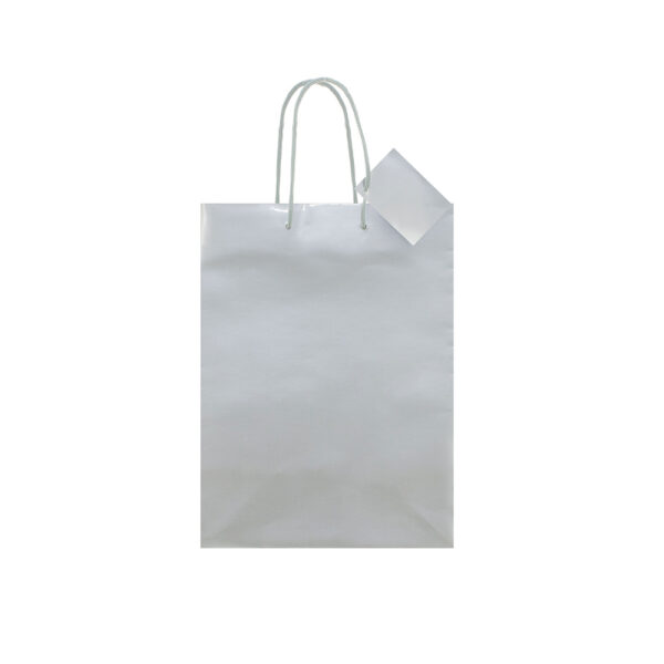 Borsa plastificata Adele formato 22x30x11
