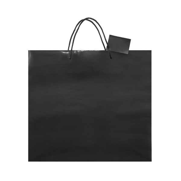 Borsa in carta plastificata Charis formato 40x36x11