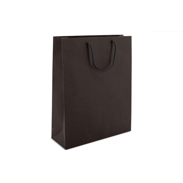 Borsa in cartoncino Alexia formato 27x36x9